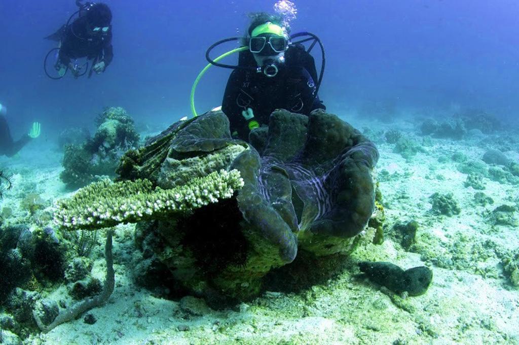 Marco Vincent Dive Resort Puerto Galera Dış mekan fotoğraf